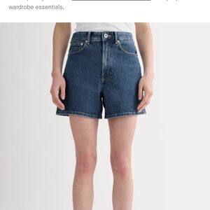 Everlane A Line Denim Short Size 29